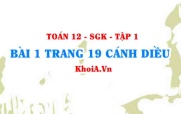 Bài 1 trang 19 Toán 12 tập 1 Cánh Diều